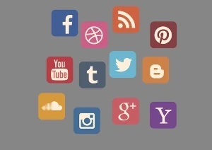 Social Media Management